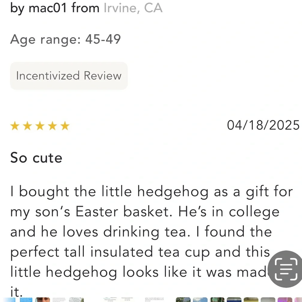 Free w/ $30+ Anthropologie Spring Hedgehog Cocktail Spoon Stirrer Silver & Gold